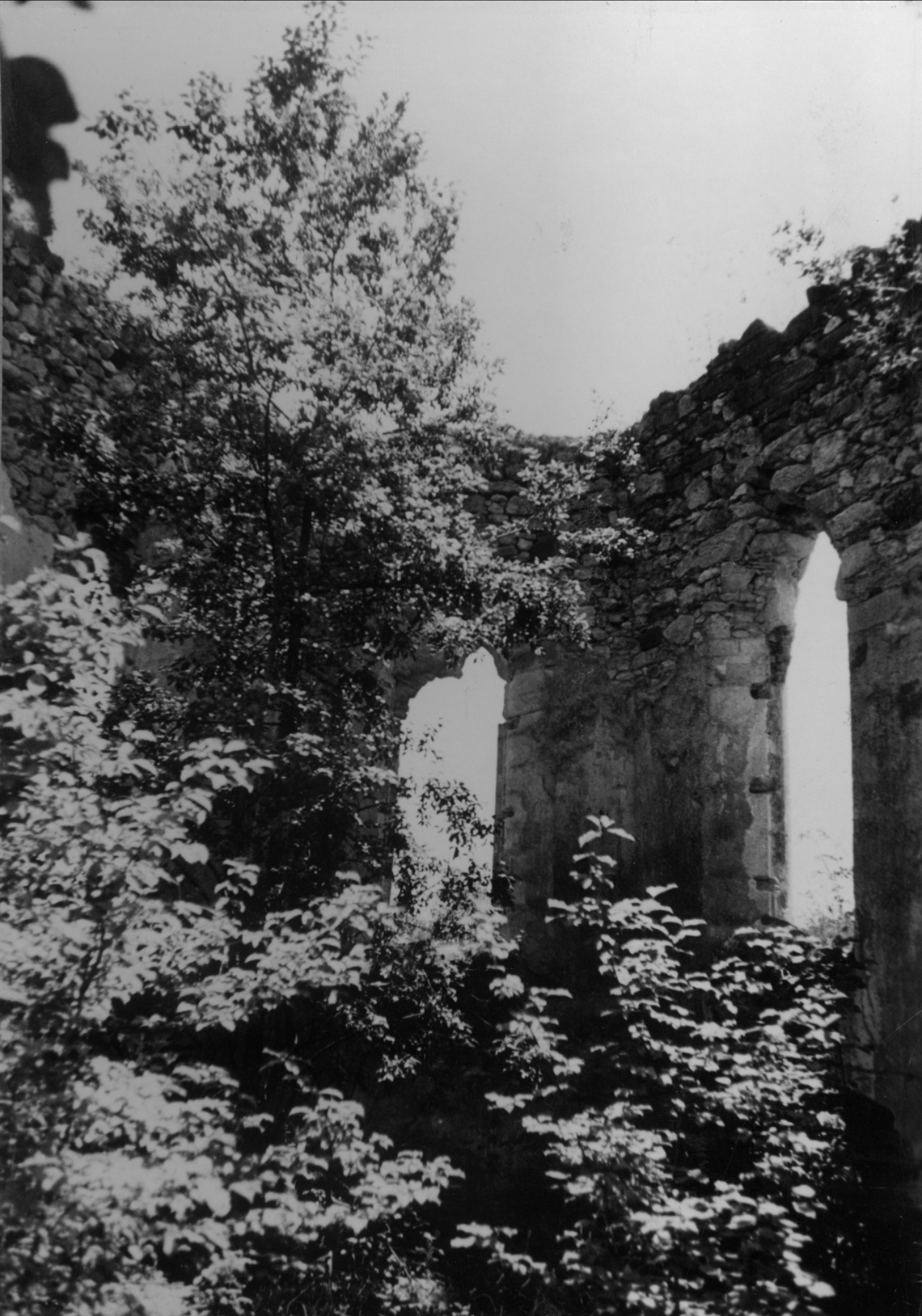Image description